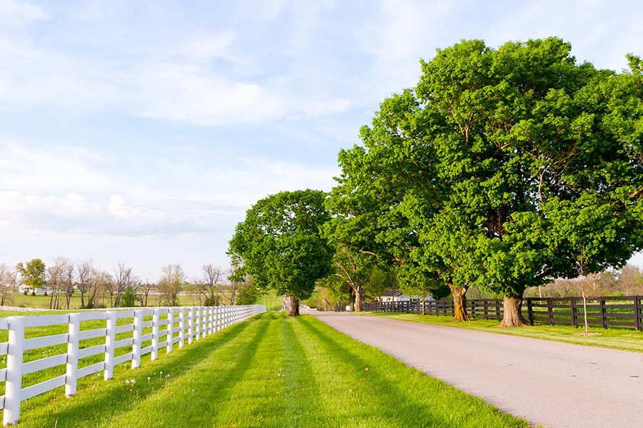 About Our Agency - Angled View of a Long Country Road With White and Brown Fences on Either Side and Green Trees and Grass Along the Road Too