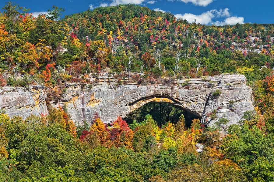 Blog - Natural Arch In Kentucky Displaying a Natural Stone Arch With Many Green Trees and Some Orange and Red Trees on a Mountain